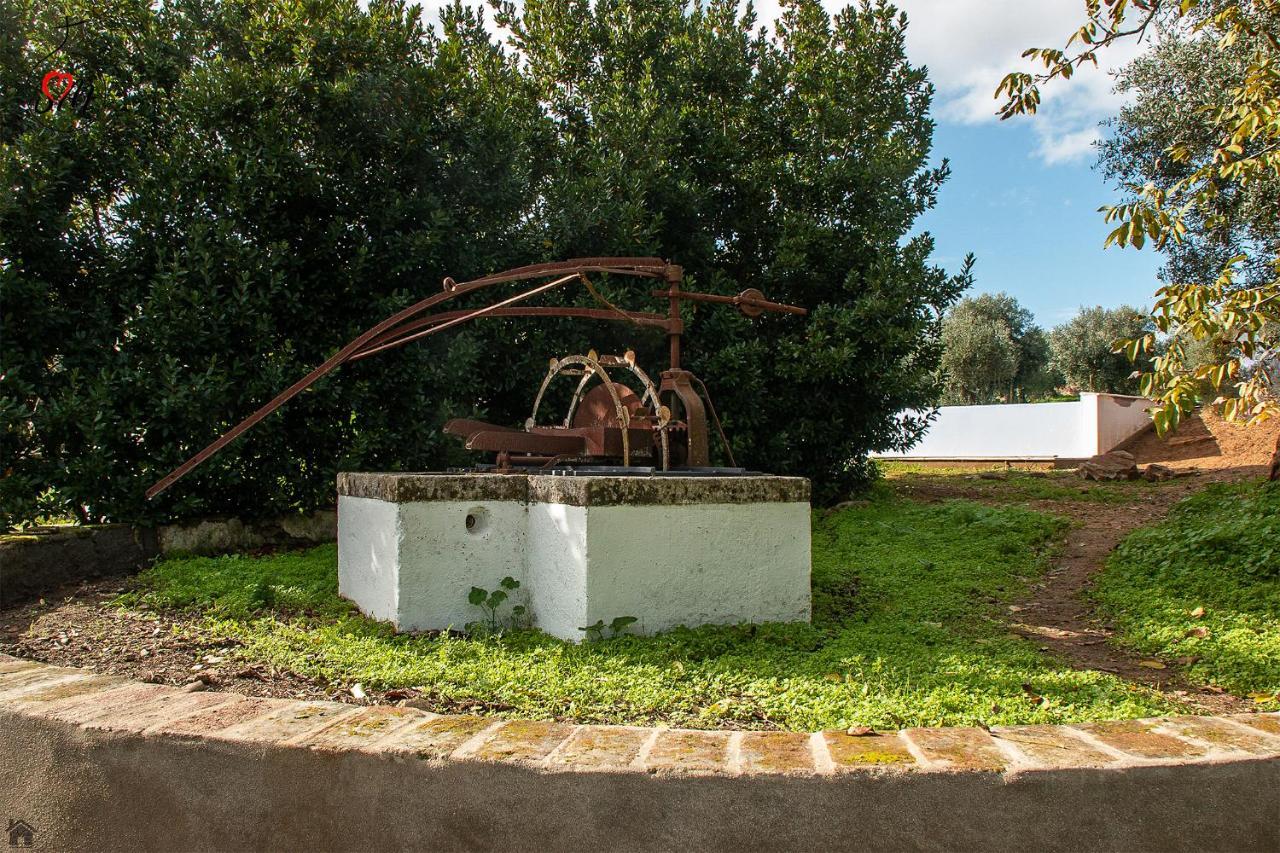 Vila Quinta Da Fortaleza Elvas Exteriér fotografie